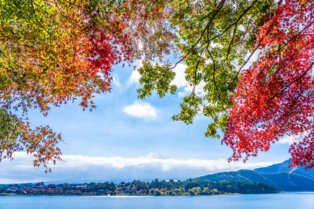 秋季环湖枫叶树的富士山美景