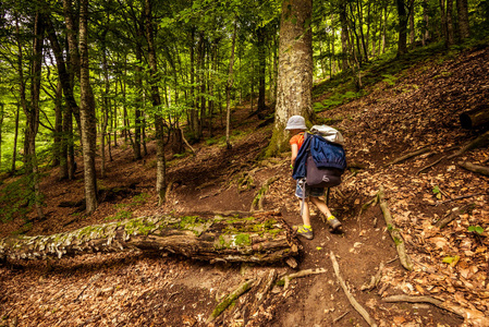 爬山的儿童图片