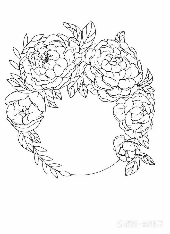 周围牡丹的花蕾素描插图春天的花黑色轮廓白色背景