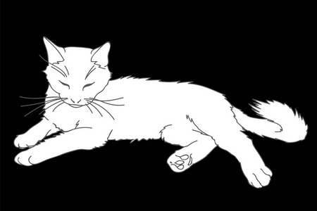白小猫和母亲图片-白小猫和母亲素材-白小猫和母亲插画-摄图新视界