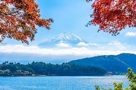 秋季环湖枫叶树的富士山美景