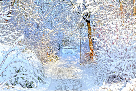 阳光明媚的一天，在一片白雪皑皑的冬林中