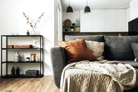 现代北欧斯堪的纳维亚室内设计。 明亮的开放空间客厅，舒适的沙发，针织格子姜枕，厨房木地板。 优雅的公寓出租概念。