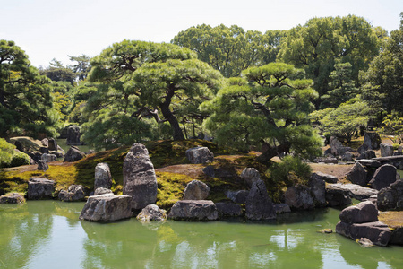 公园门口的花园场景图片