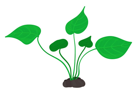 地面上的卡通抽象绿色植物。 矢量插图