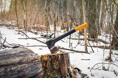 s ax with plastic handle hammered into log in the forest