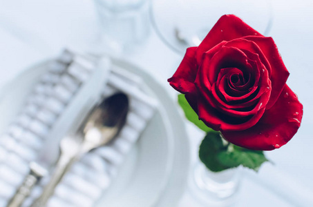 s Day romantic tabble setting with red rose, plates, cutlery on 