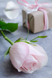 s Day. Pink pastel rose with gift box on grey concrete backgroun