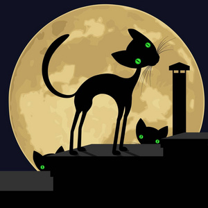 月亮屋顶牛屋顶上的黑猫.一只猫在屋顶上的剪影,在月亮的背景上.