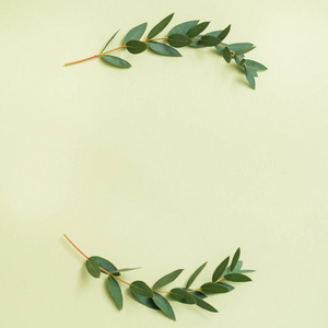 橄榄枝节日问候绿色背景照片