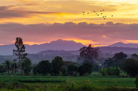 傍晚泰国清迈的金色天空山景图片