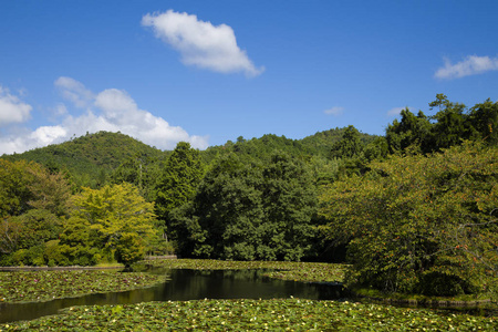 公园门口的花园场景