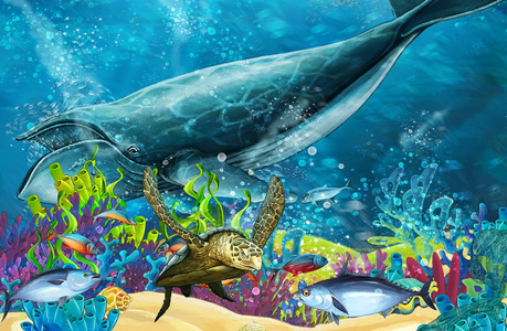 儿童珊瑚礁附近的鲸鱼卡通场景