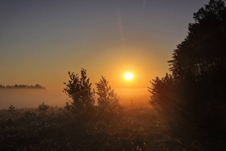 雾蒙蒙的早晨在温暖的马祖里