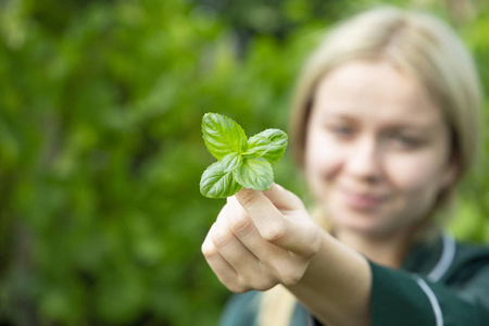 可爱的金发女孩手里拿着绿色薄荷叶环境和生态概念