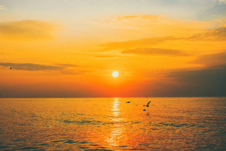 美丽的橙色日落在海面上，飞翔的海鸥