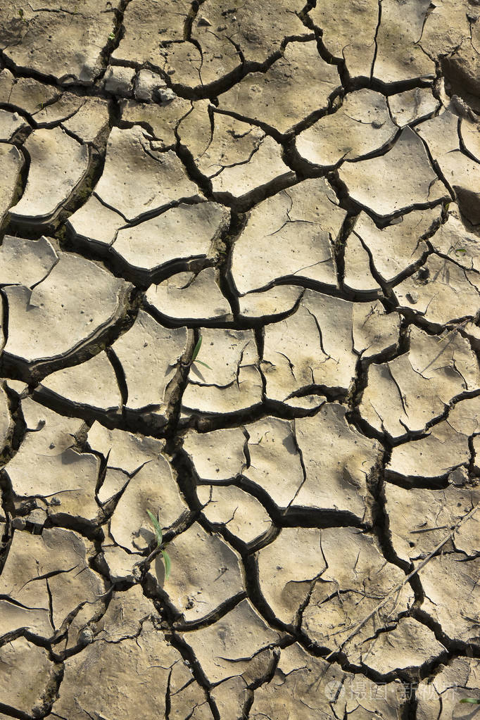 被太阳灼伤的贫瘠土地饥荒和贫困的概念