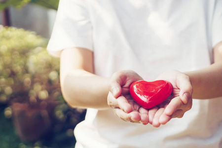 捧起图片-捧起素材-捧起插画-摄图新视界