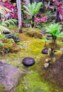 雨后日本舒适的家庭花园的石阶和绿色苔藓装饰。