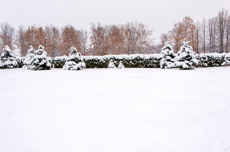 冬天白雪皑皑的城市公园里到处都是雪