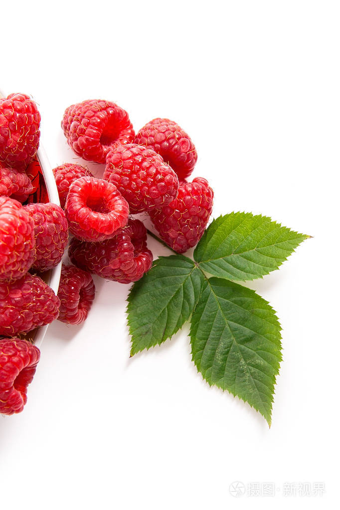 用新鲜的覆盆子果实和在白色背景上分离的覆盆子灌木的大绿叶封闭盘子