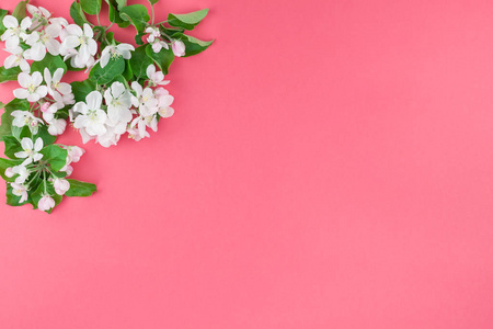 千禧年图片-千禧年素材-千禧年插画-摄图新视界