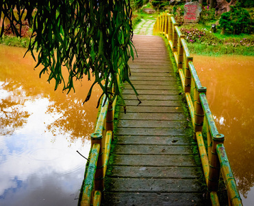 越南热带河上的木桥拱