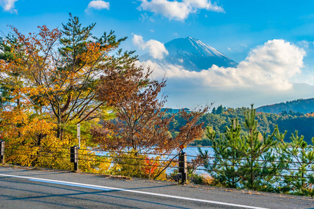 日本大林湖边枫叶树的富士山美景