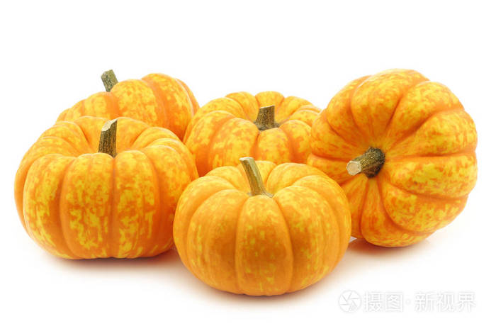 白色背景上的黄色和橙色小南瓜