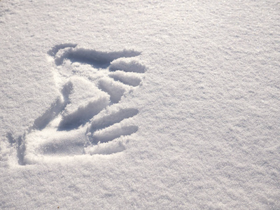 雪上的手印。 把手印在白雪上