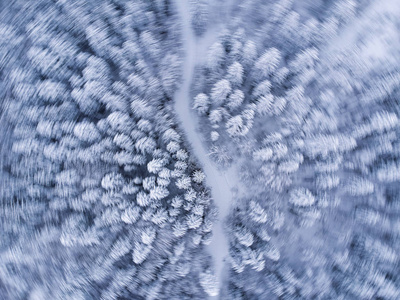 从美丽而狂野的森林俯瞰，冬天充满了雪，中间有一条狂野的道路。