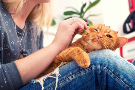 一个女人正在家里清理一只红猫的耳朵。
