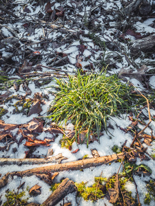 在阳光明媚的冬日，阳光明媚的冬日，雪部分覆盖地面，抽象的背景，复古的电影，看上去。