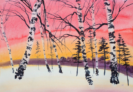 冬季日落松树和桦树