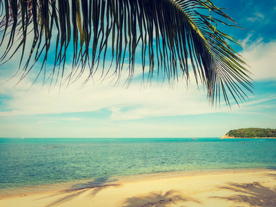 美丽的热带海滩和带椰子棕榈树的大海，供旅行和度假