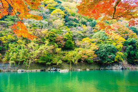 秋季日本京都，美丽的山河，有枫叶树和船绕湖而行