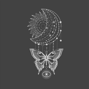 蝴蝶的光线图片