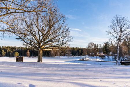 阳光明媚的冬日，一个空公园的照片，欢乐与和谐的概念