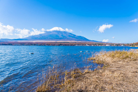 日本雅明子湖周围富士山的美丽景观