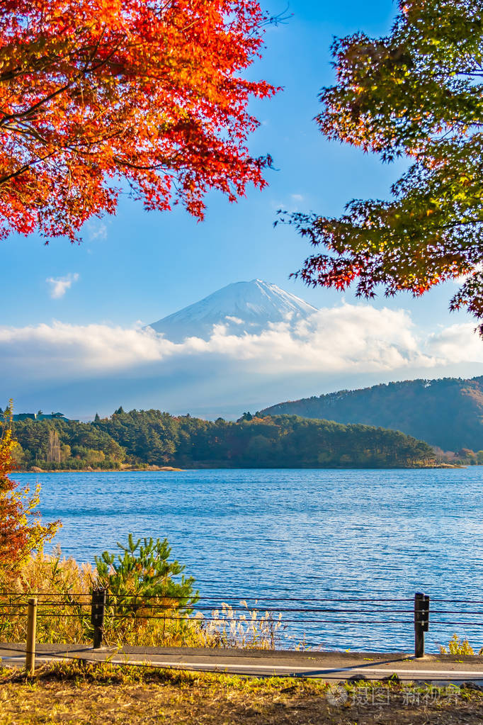日本大林湖边枫叶树的富士山美景