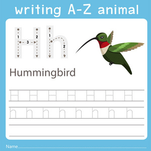 写z动物h蜂鸟的插画家