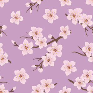 无缝图案，樱桃枝开花。紫色背景上有白色花朵和花蕾的树枝。春天的花背景。矢量图