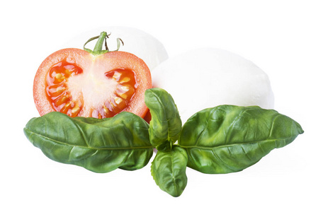 在白色背景上用新鲜新鲜的罗勒叶和西红柿特写马拉奶酪球。