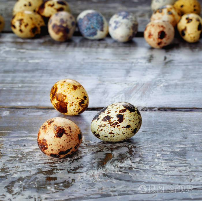 新鲜的鹌鹑蛋在乡村谷仓等待快乐的复活节