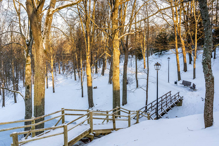 白雪皑皑的公园照片,在阳光明媚的冬日,木制小径中间,它的概念是乡村