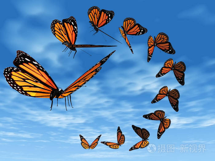 蝴蝶在蓝天上盘旋