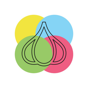 矢量大蒜插图分离健康蔬菜营养图标素食。 细线象形文字轮廓笔画