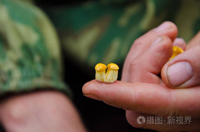 把黄色的小蘑菇贴在人的手指上