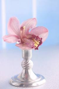 金属花瓶里的粉红色蝴蝶兰花