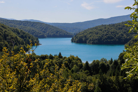 克罗地亚的主要自然地标是有瀑布的平原湖泊。 翡翠清澈的冷水在岩石植物和树木的背景上。